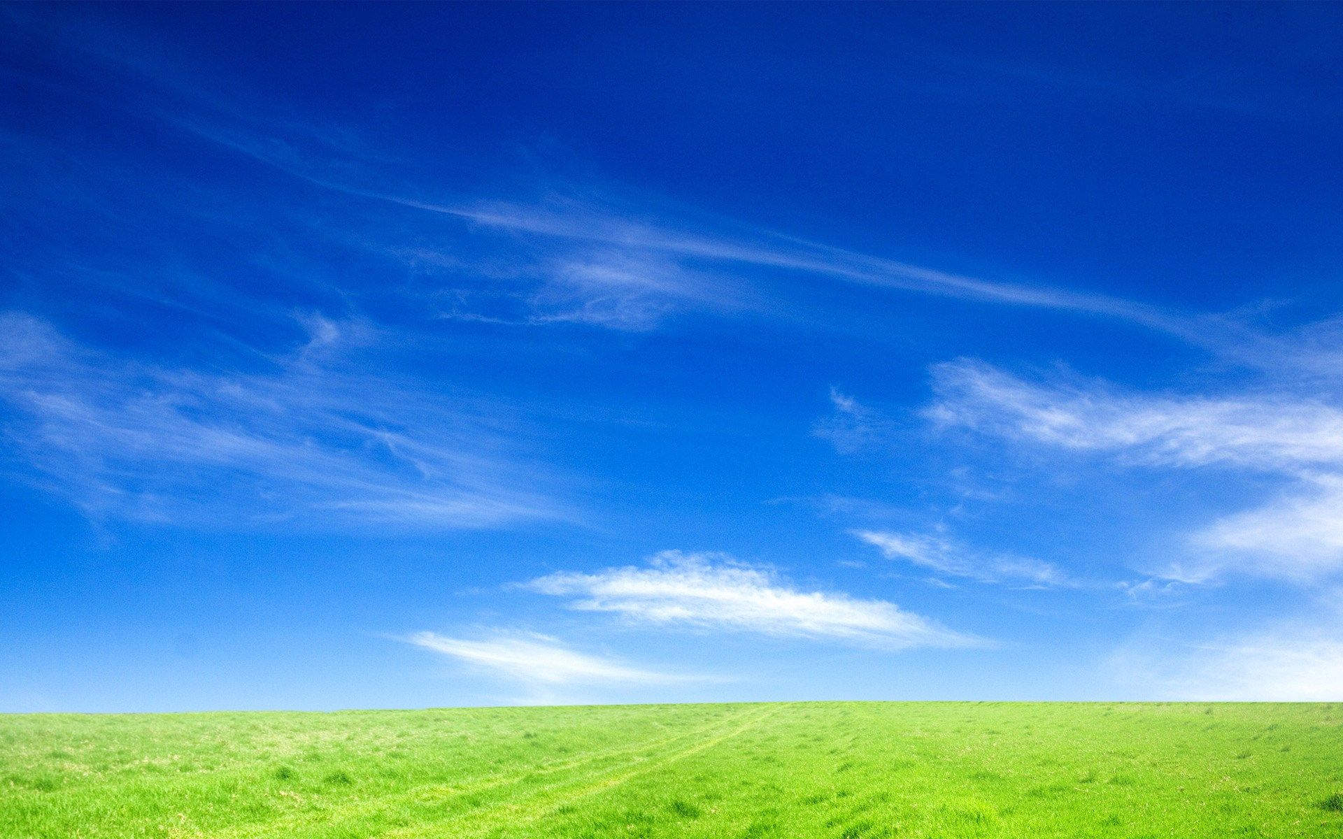 Fondo de pantalla de cielo azul y hierba verde [1920x1200]