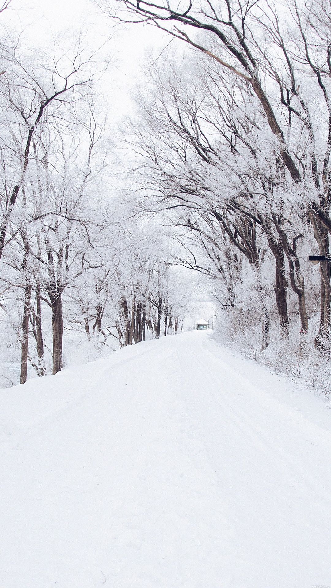 Camino de invierno Naturaleza romántica Blancanieves #iPhone # 6 #plus #wallpaper