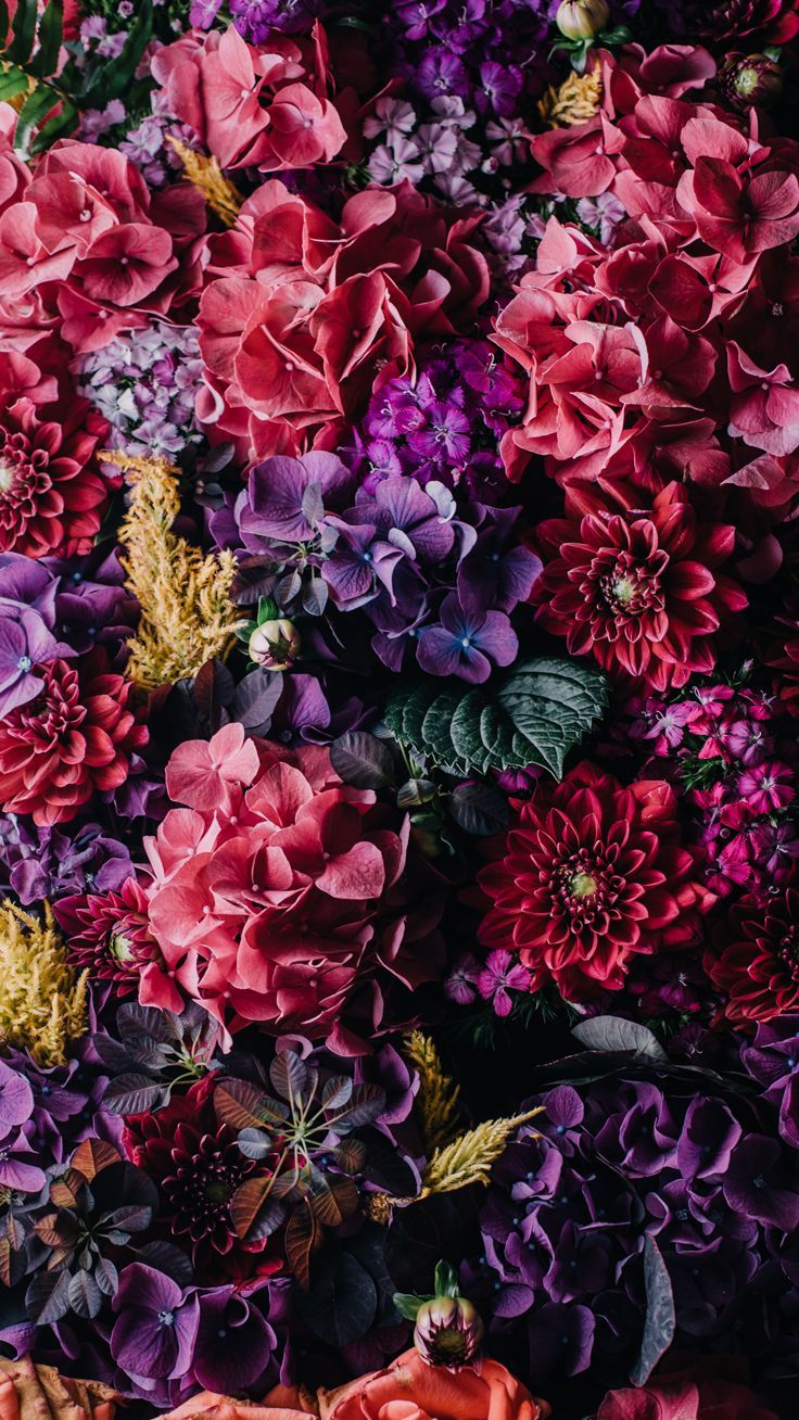 Vintage floral iPhone Collection Colección | Fondo de pantalla | Primavera