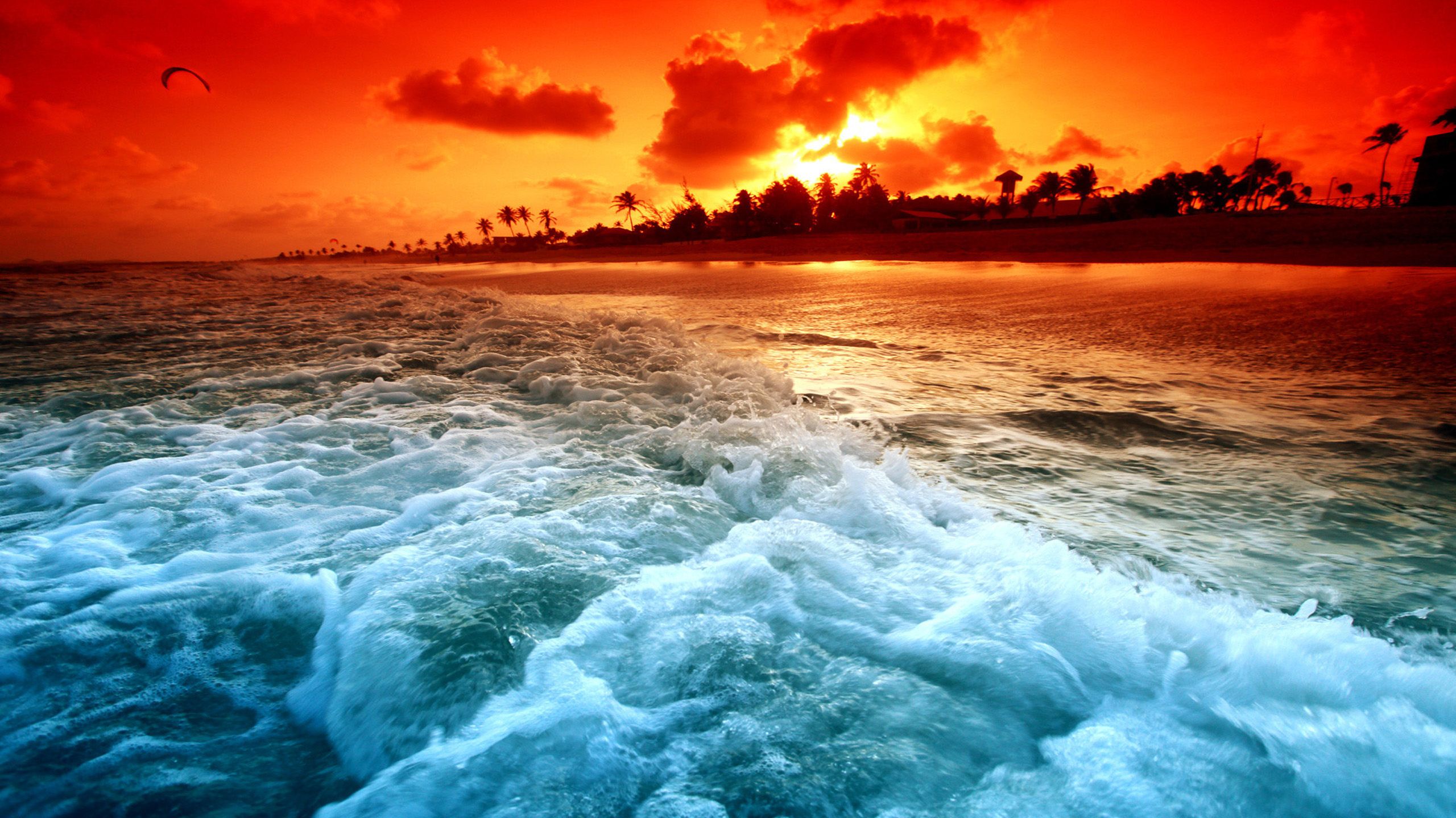 Beautiful Beach Sunset Fondos de pantalla | 2560x1440 | ID: 21921