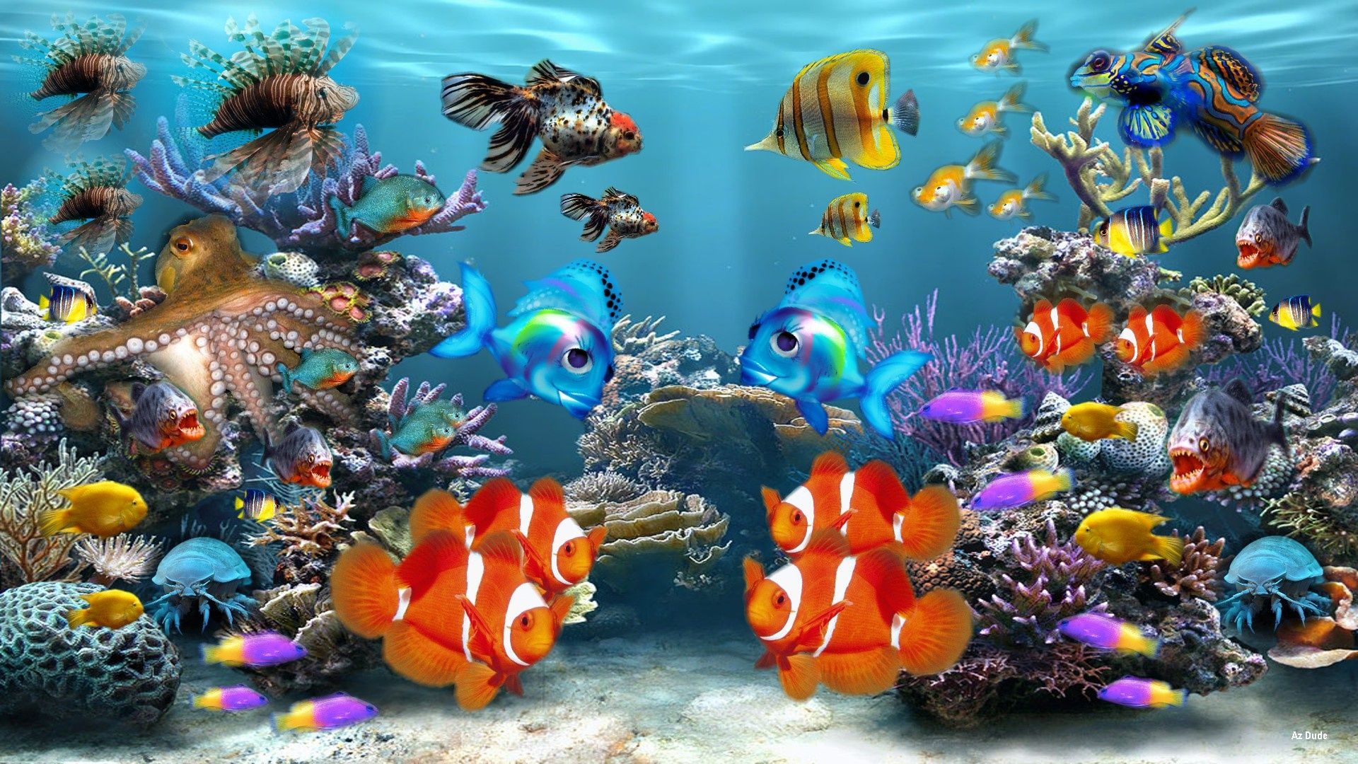 HD Fish Background, descargar la imagen de un fondo de pantalla de peces HD natural