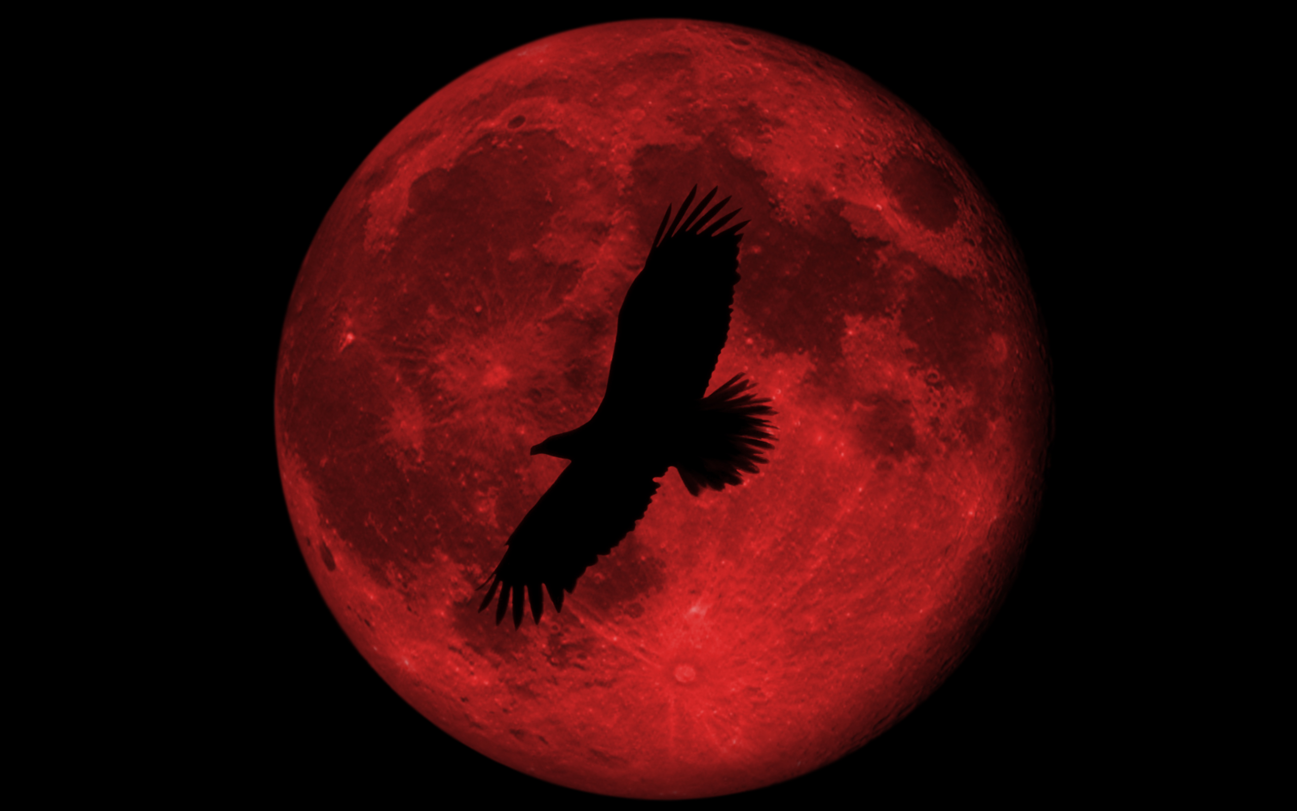 Luna | Fondos de pantalla rojos y negros | Imagen en cadena