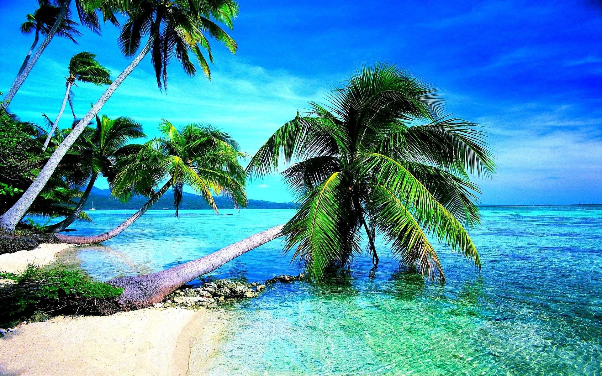Tropical Beach HD Wallpaper (más de 68 imágenes)