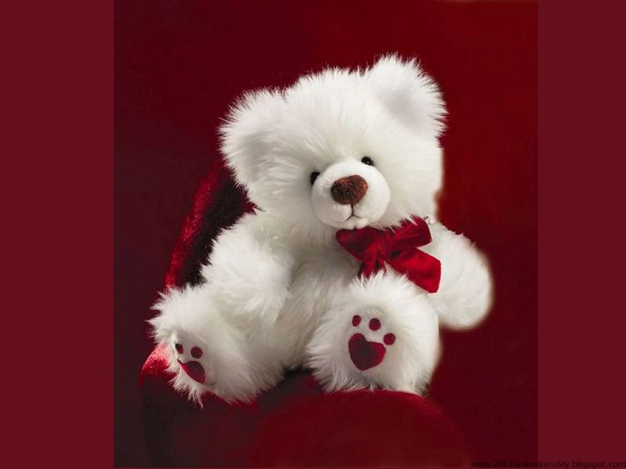 Cute Teddy Bear Wallpaper # 7019975