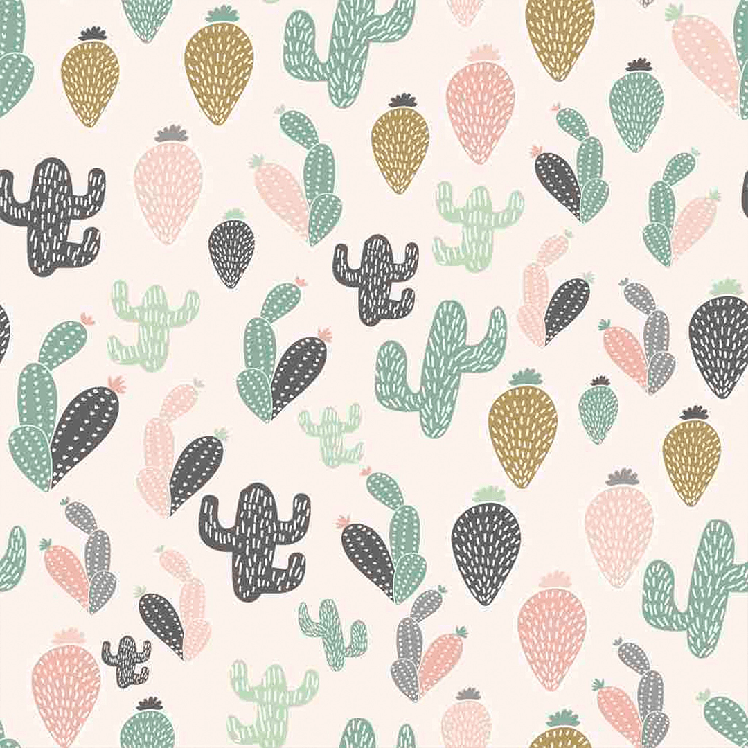 Cactus Wallpapers - Los mejores fondos de Cactus gratis - WallpaperAccess