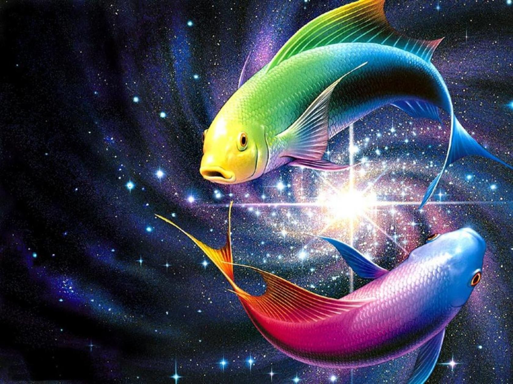 Rainbow Fish Wallpapers HD | ¡Papel pintado! El | Fondo de pantalla de pescado, arco iris
