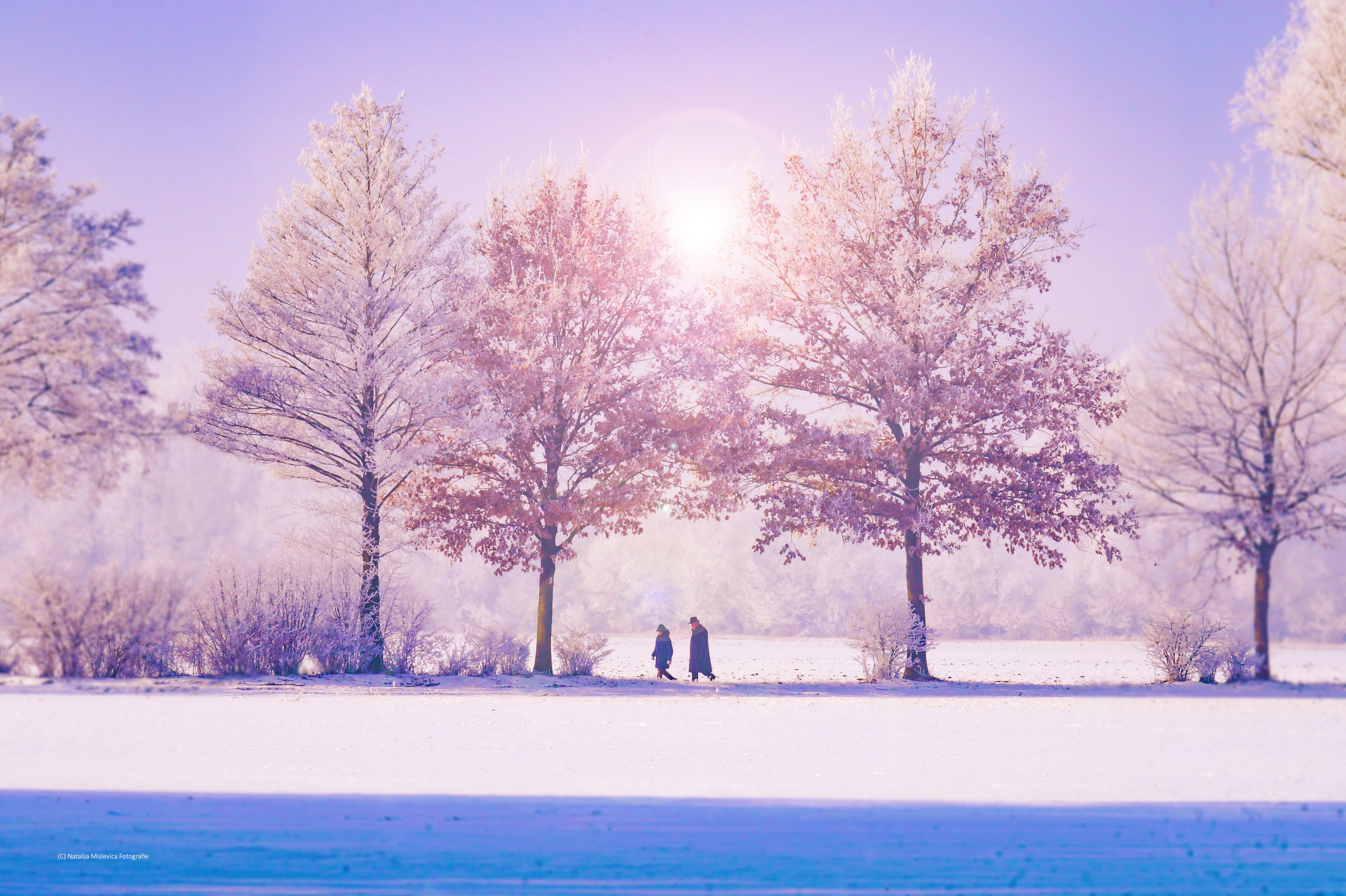 Fondos de invierno: 30 imágenes impresionantes para la temporada de frío