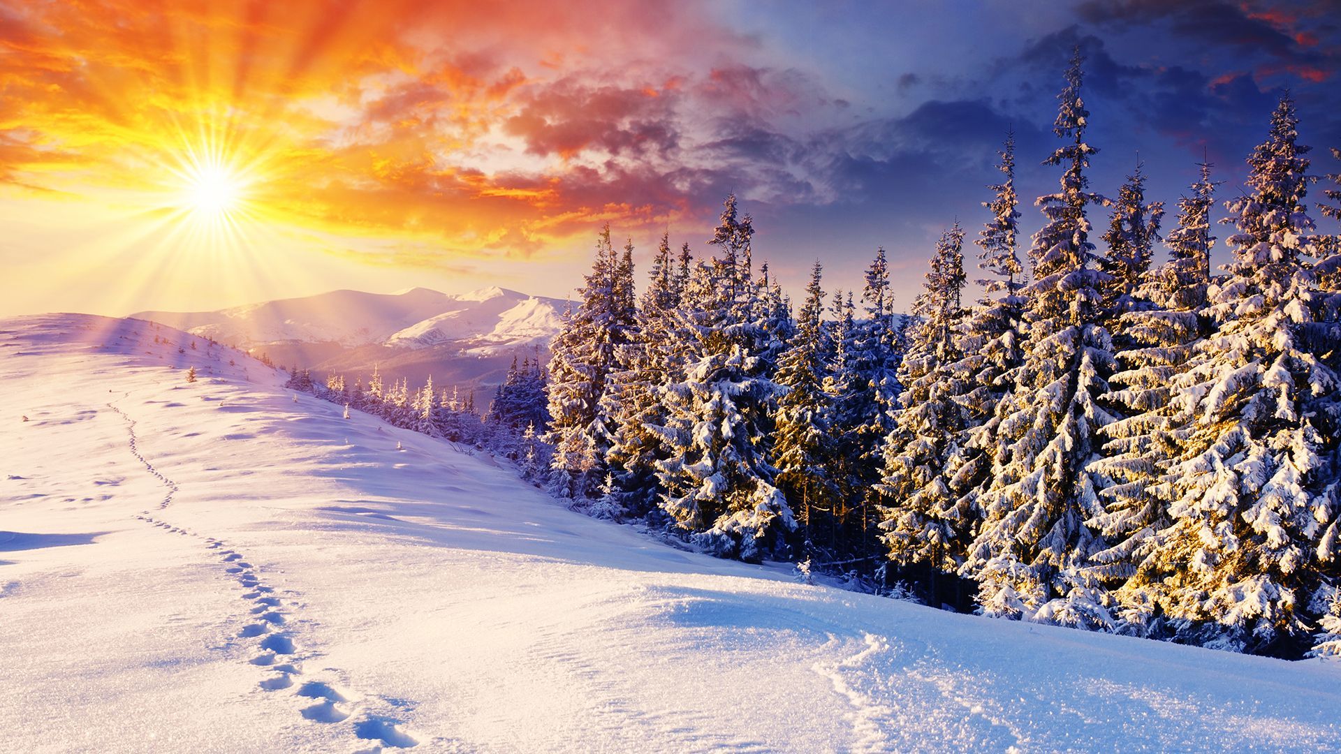 Winter HD Desktop Wallpapers - Top Free Winter HD Desktop