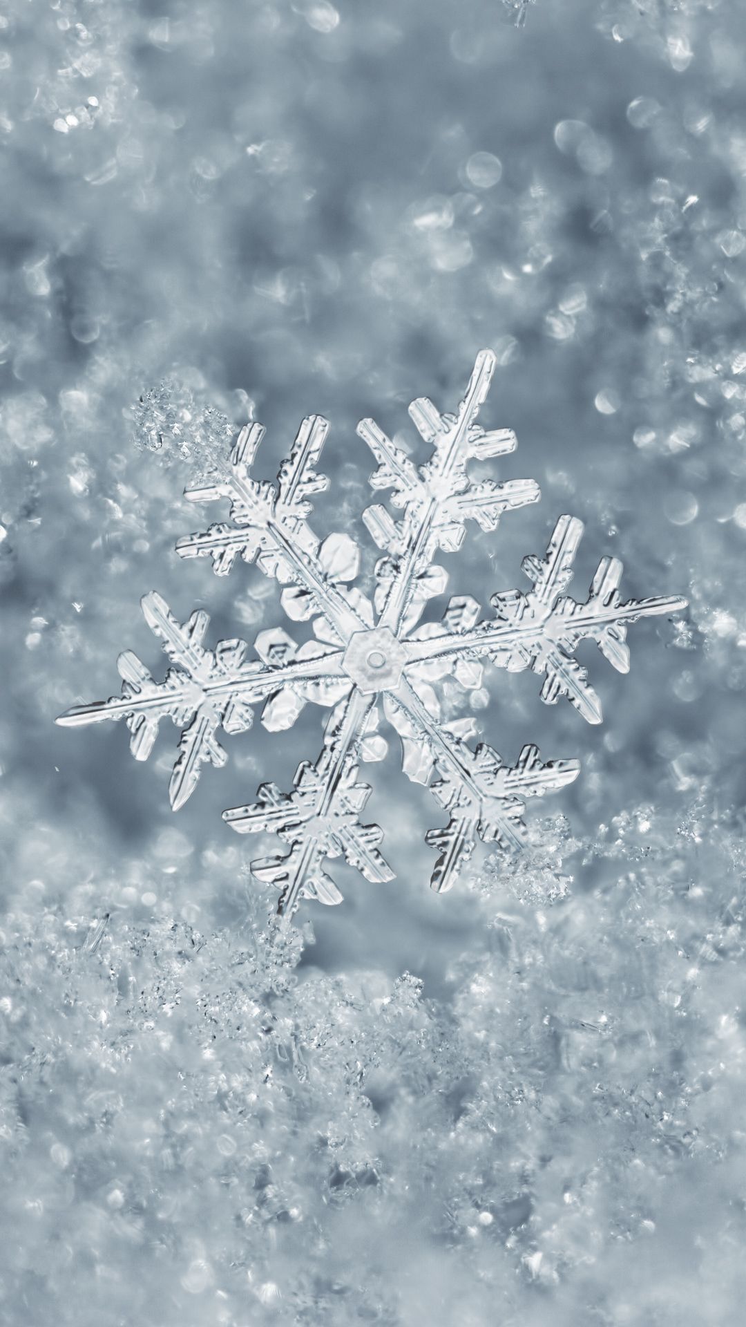 Ice Snowflake Fondo de pantalla de iPhone 7 Plus | Fondo de pantalla de invierno