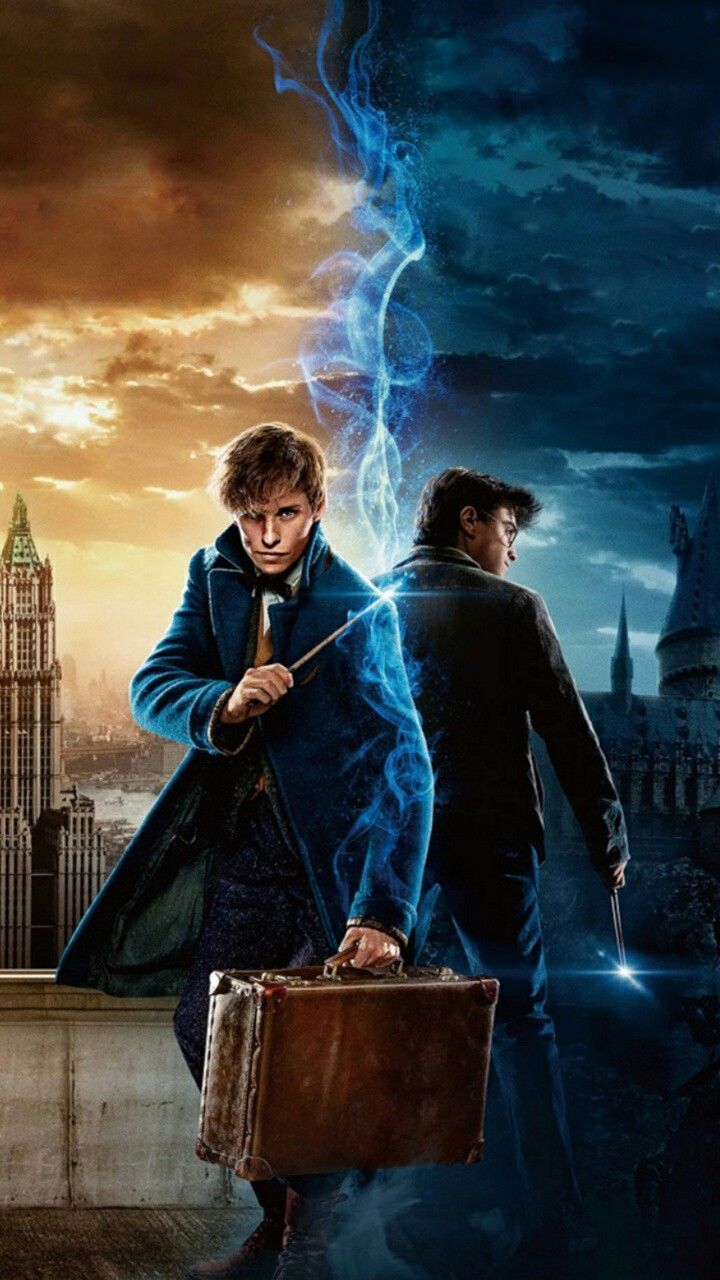 Harry Potter Wallpapers Hd - Harry Potter y Newt Scamander
