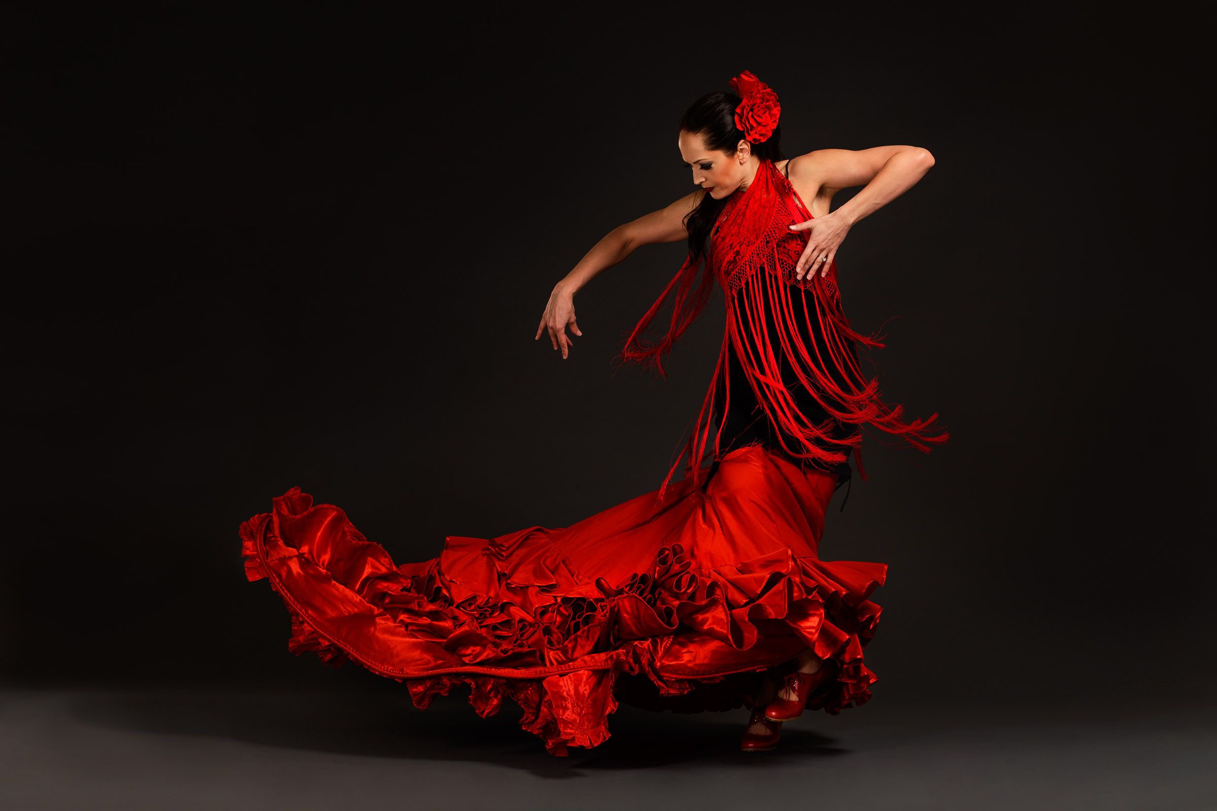 Fondos de flamenco de alta calidad | Descargar gratis