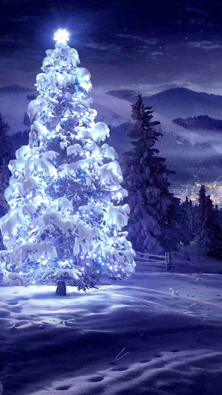 Lighting star Christmas tree iPhone 6 fondo de pantalla para 2014 Navidad