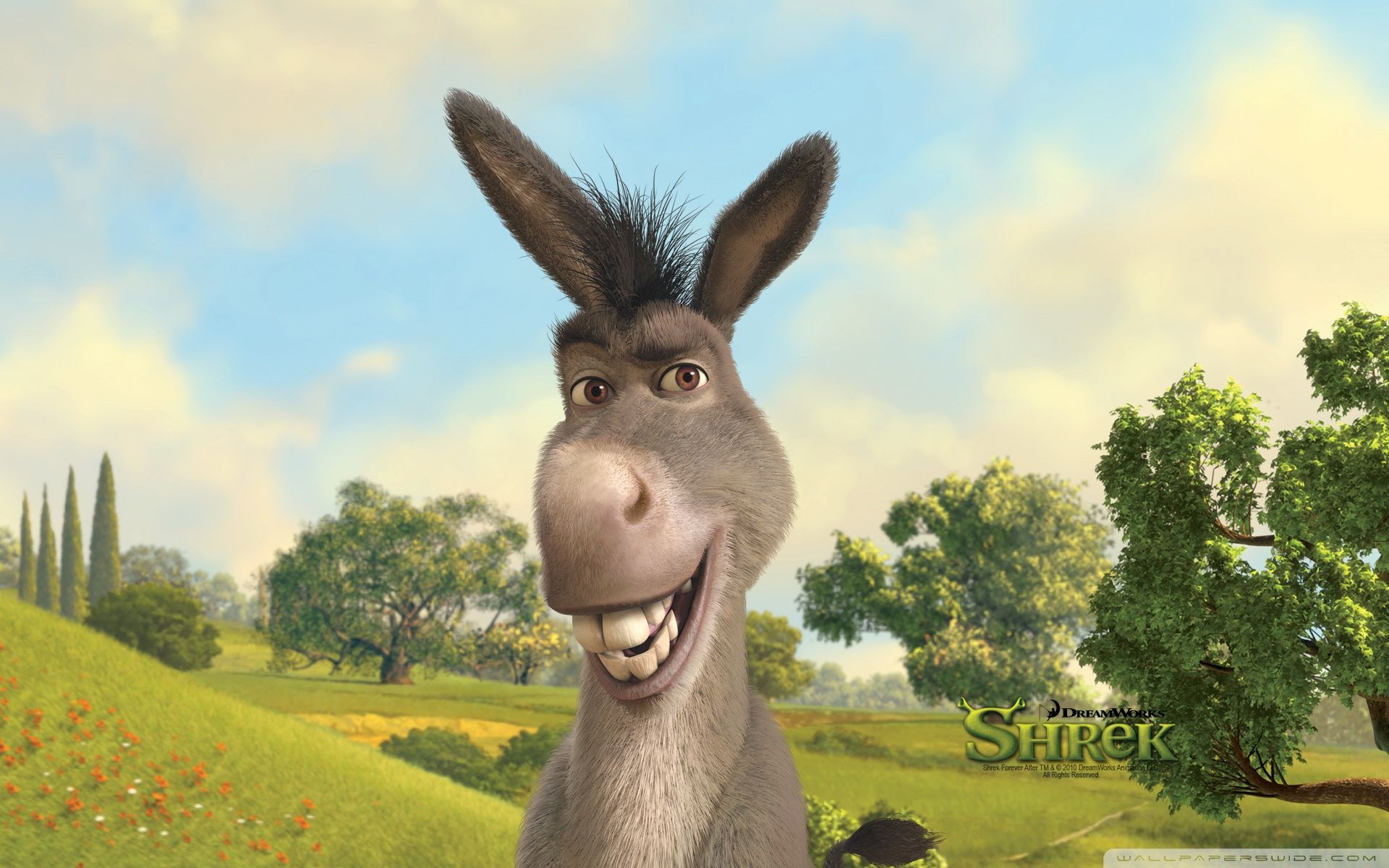 Donkey Wallpapers - Mejores fondos de Donkey gratis - WallpaperAccess