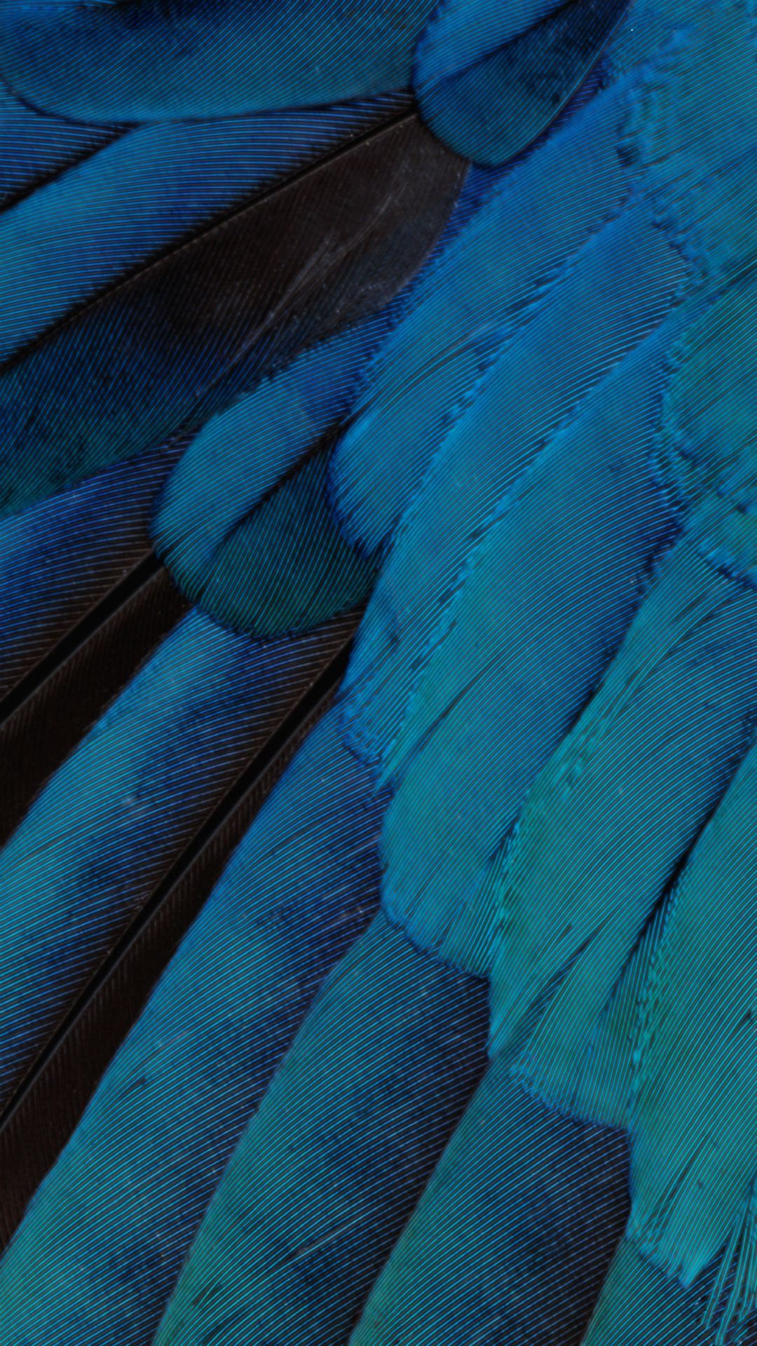 iOS9 Wallpaper Blue Feather Pattern Art #iPhone # 6 #wallpaper