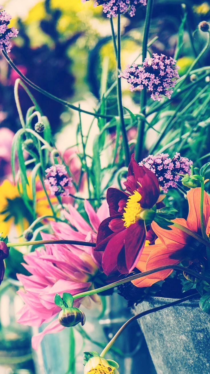 27 fondos de pantalla florales de iPhone 7 Plus para una primavera soleada