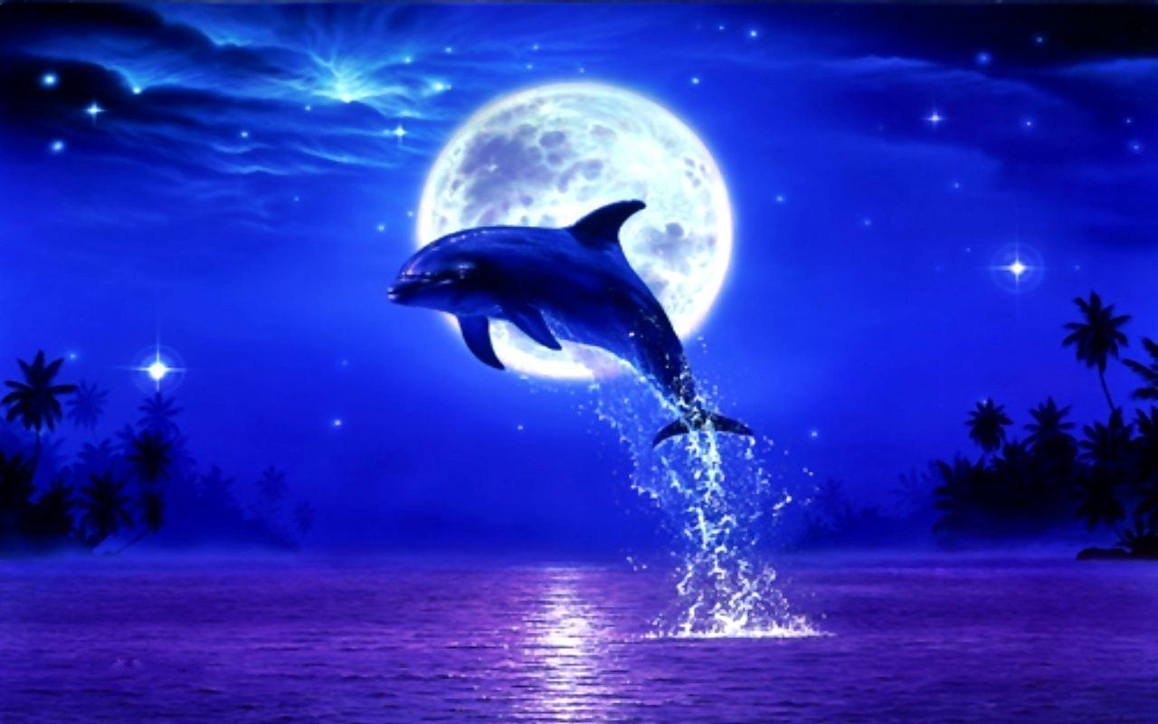Fondos de pantalla de Purple Dolphin para Iphone | Delfines | Delfines, delfines