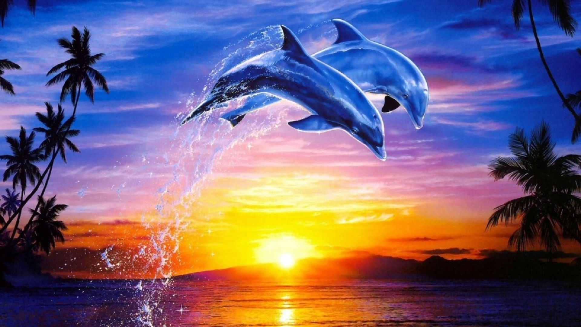 Dolphins Jumping Sunset HD Wallpaper - Wallpaper Stream