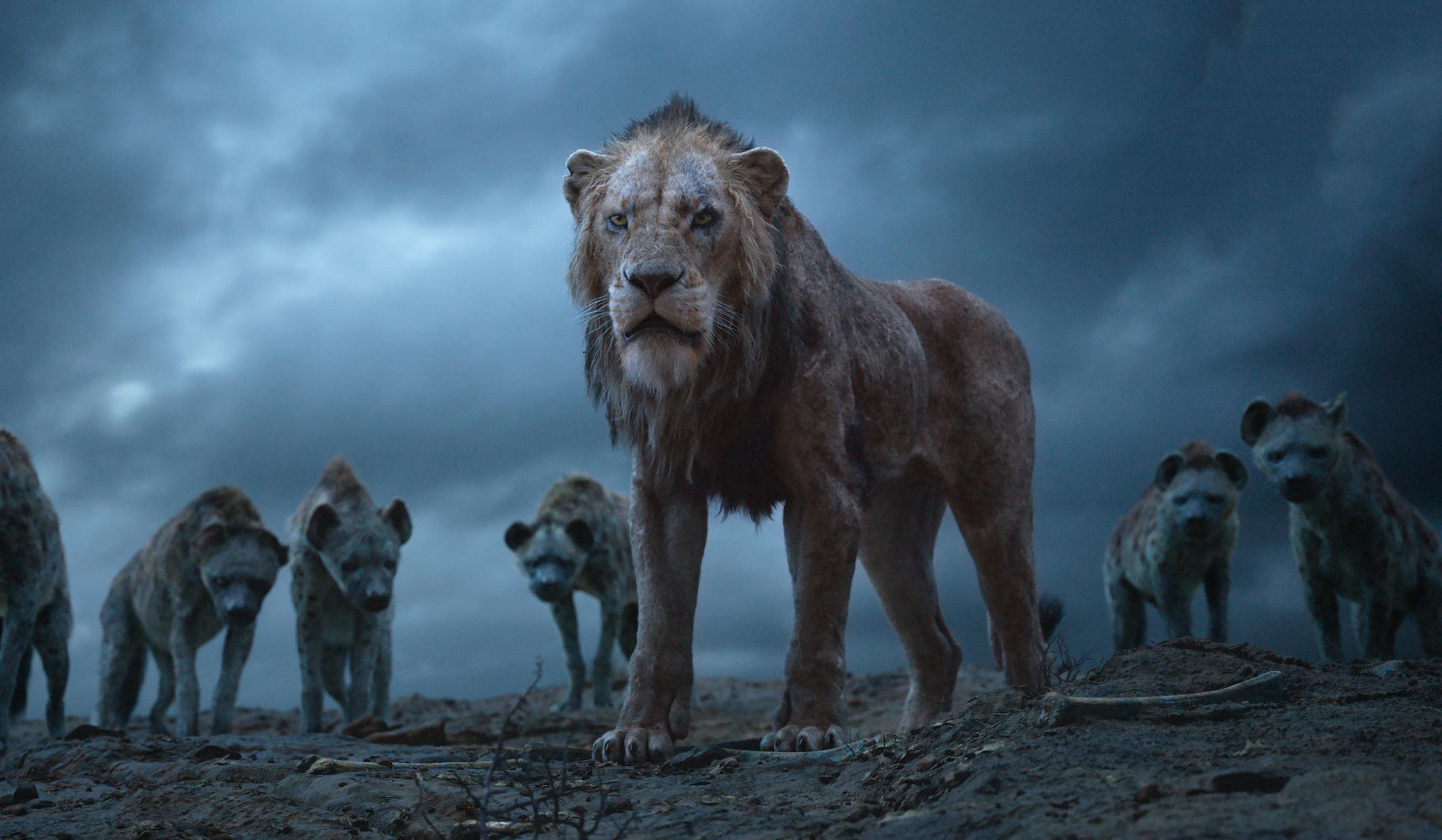 Scar The Lion King 2019, películas HD, fondos de pantalla 4k, imágenes