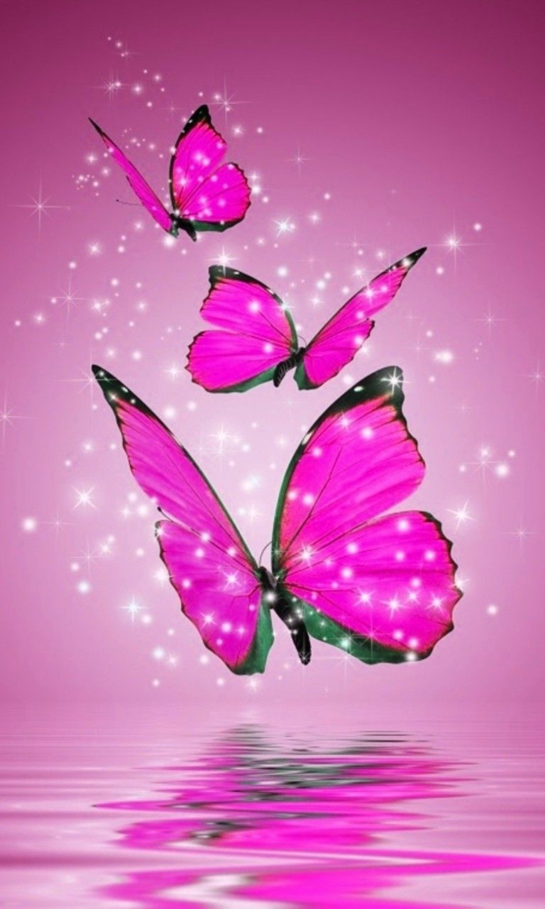 fondos de pantalla de mariposa rosa y negro | Actualmente 2.50 / 5 1 2 3 4 5