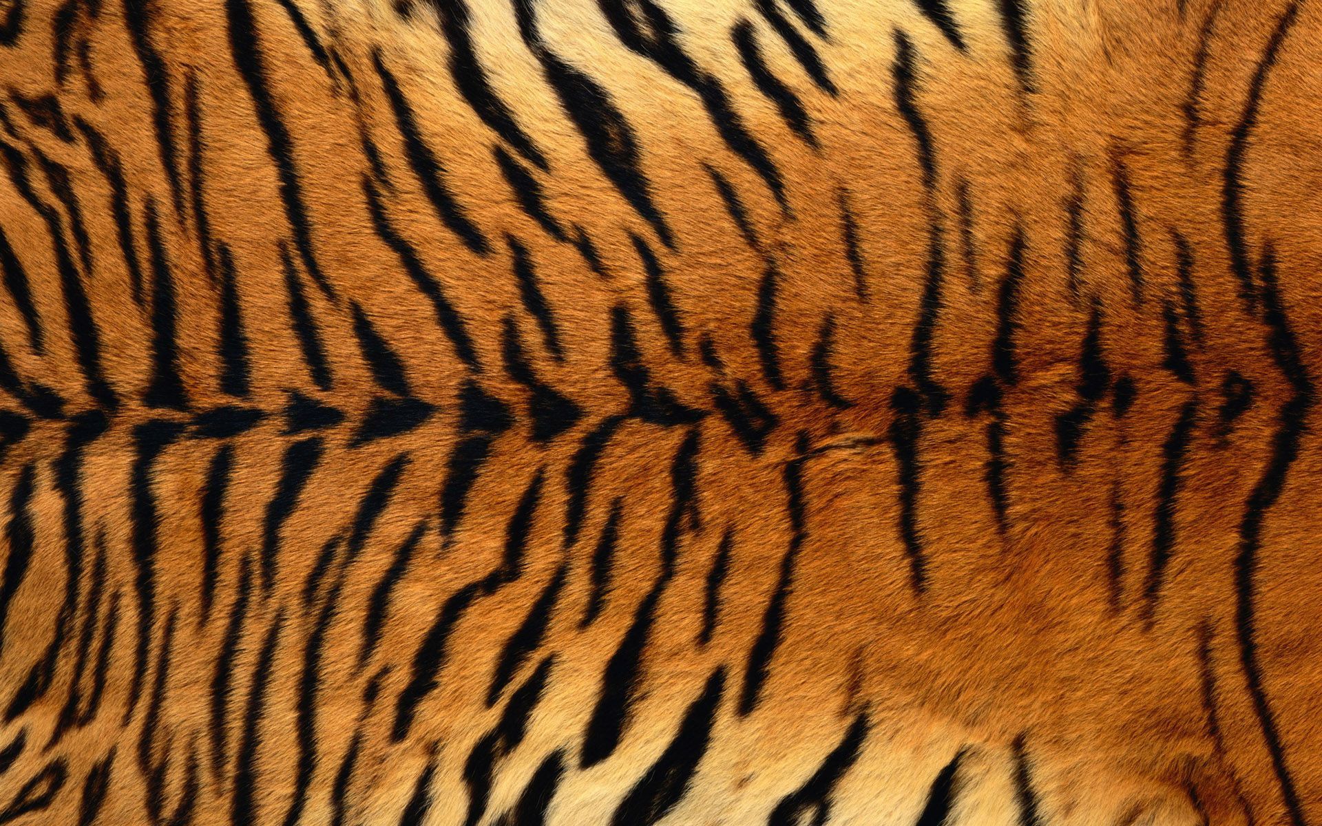 мех тигра - Поиск в Google | Estilo de moda | Piel de tigre, tigre