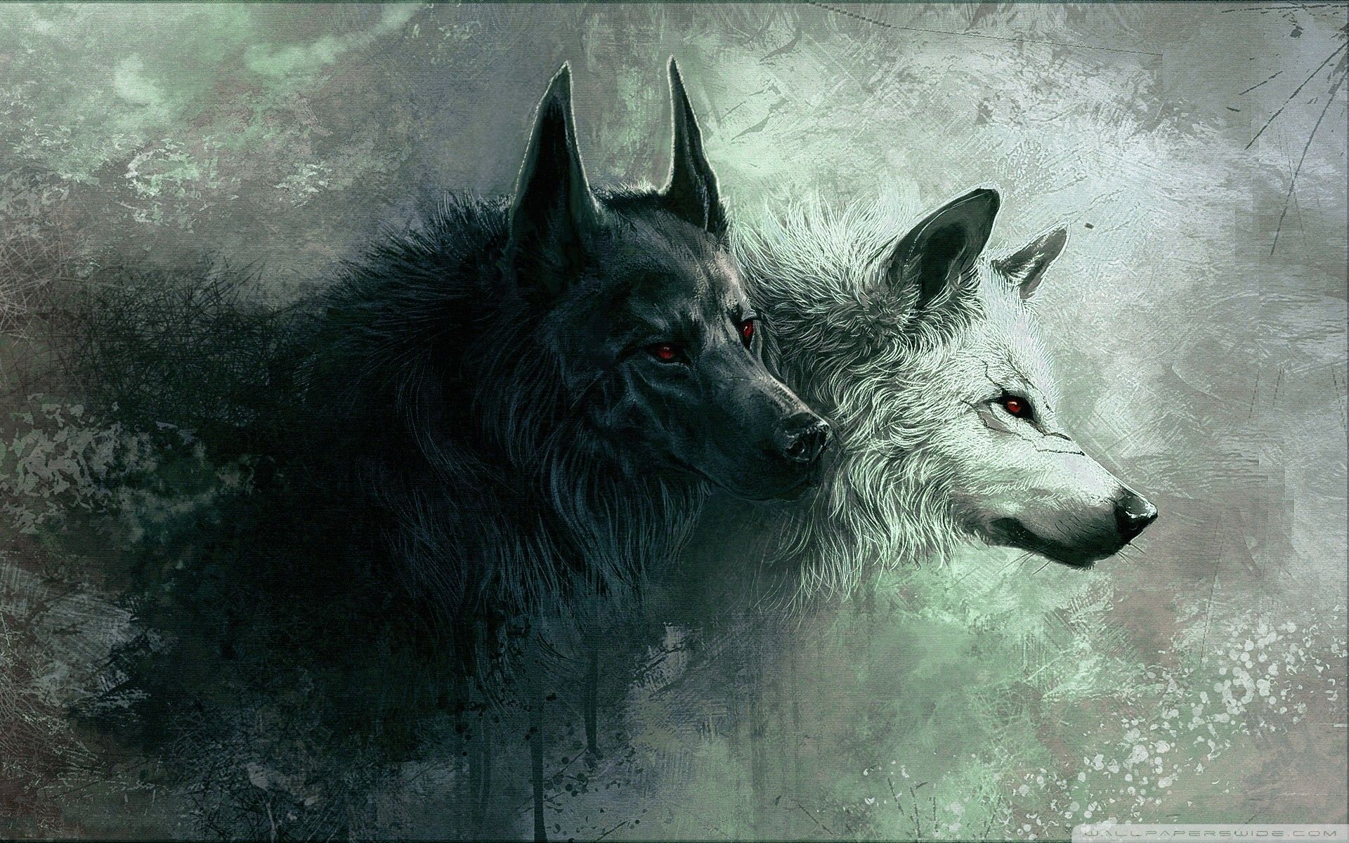 79+ Wolf Hd Wallpapers