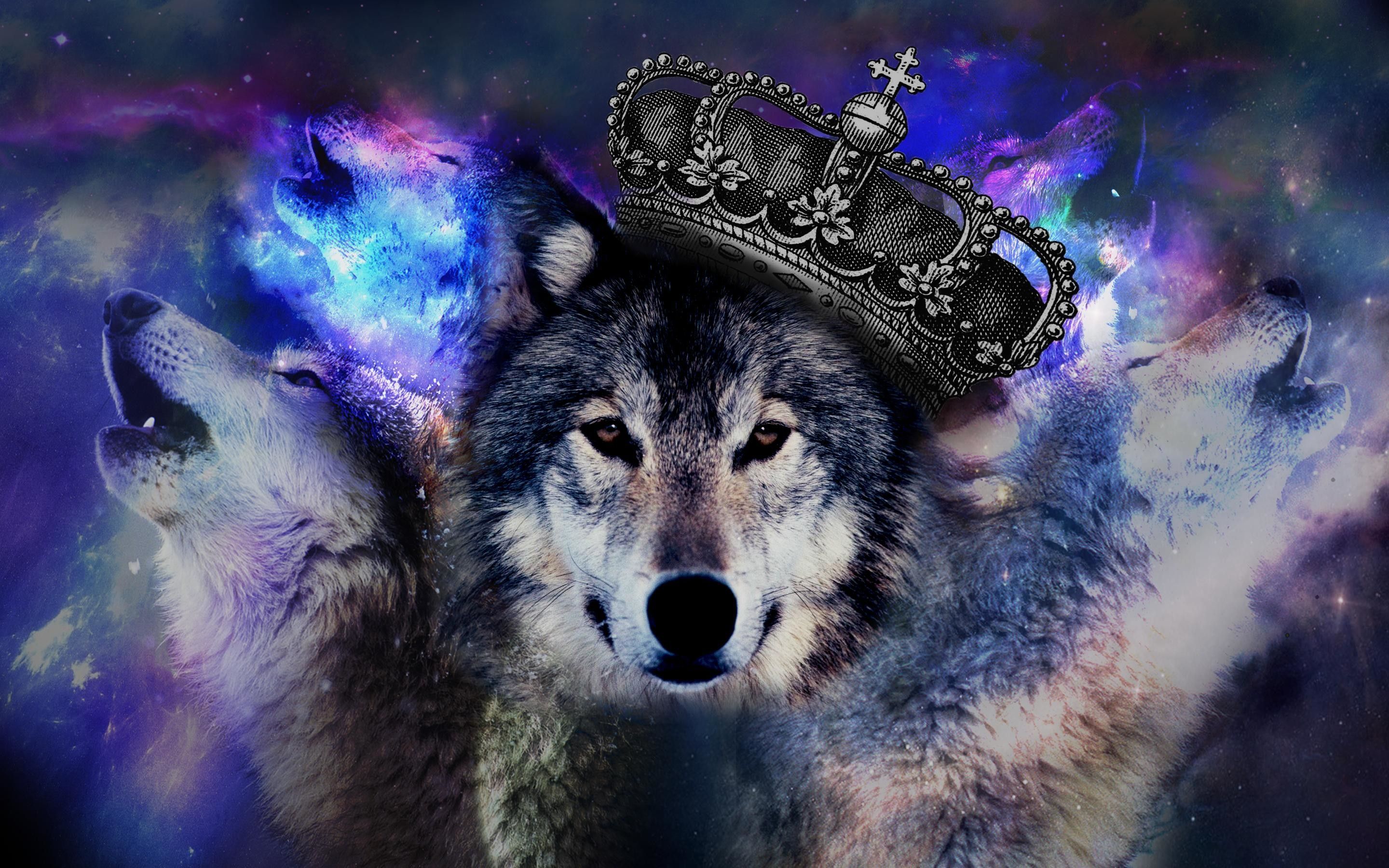 Trippy Wolf Wallpapers (66+ imágenes)
