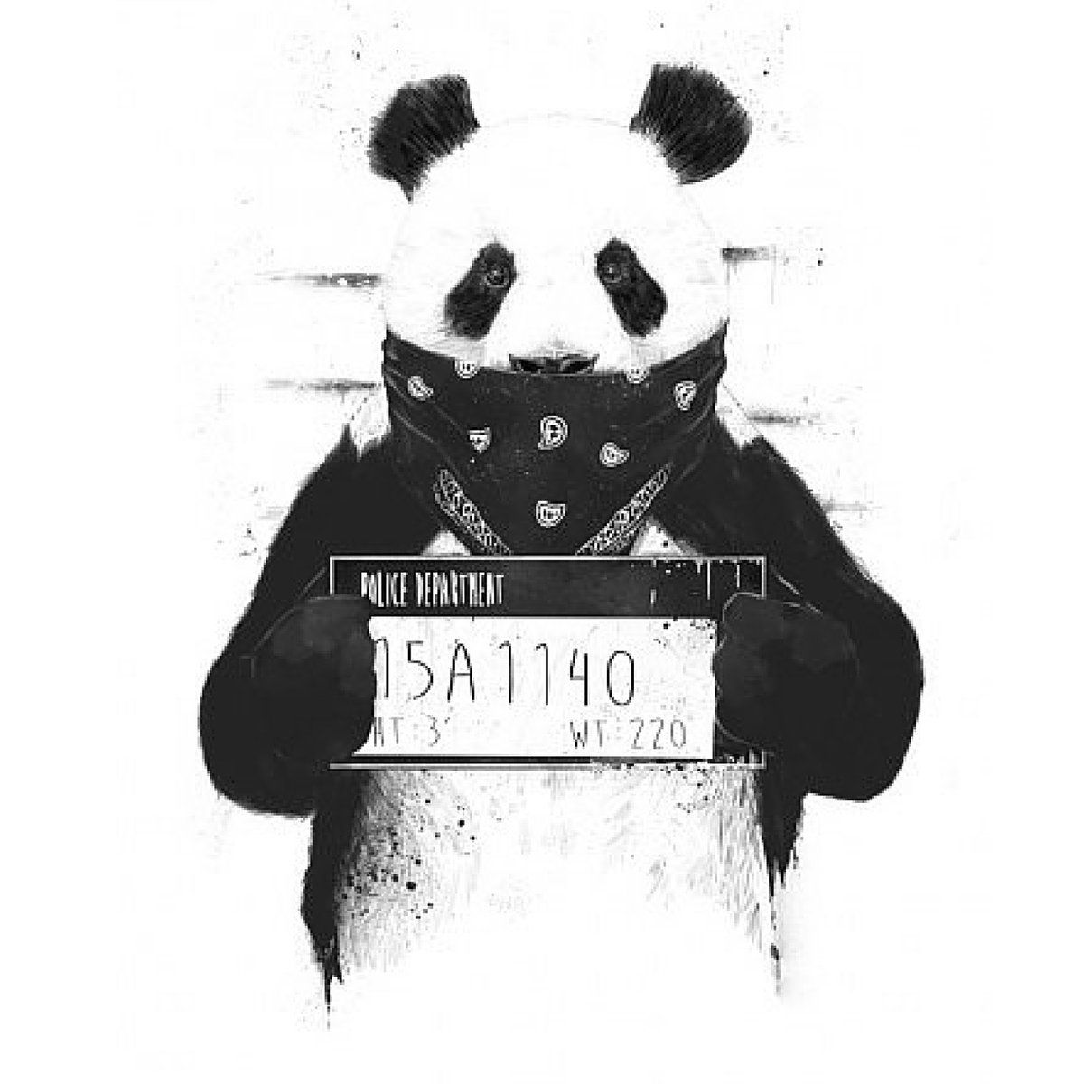 Raperos Fondos Panda - Fondo de pantalla Cueva