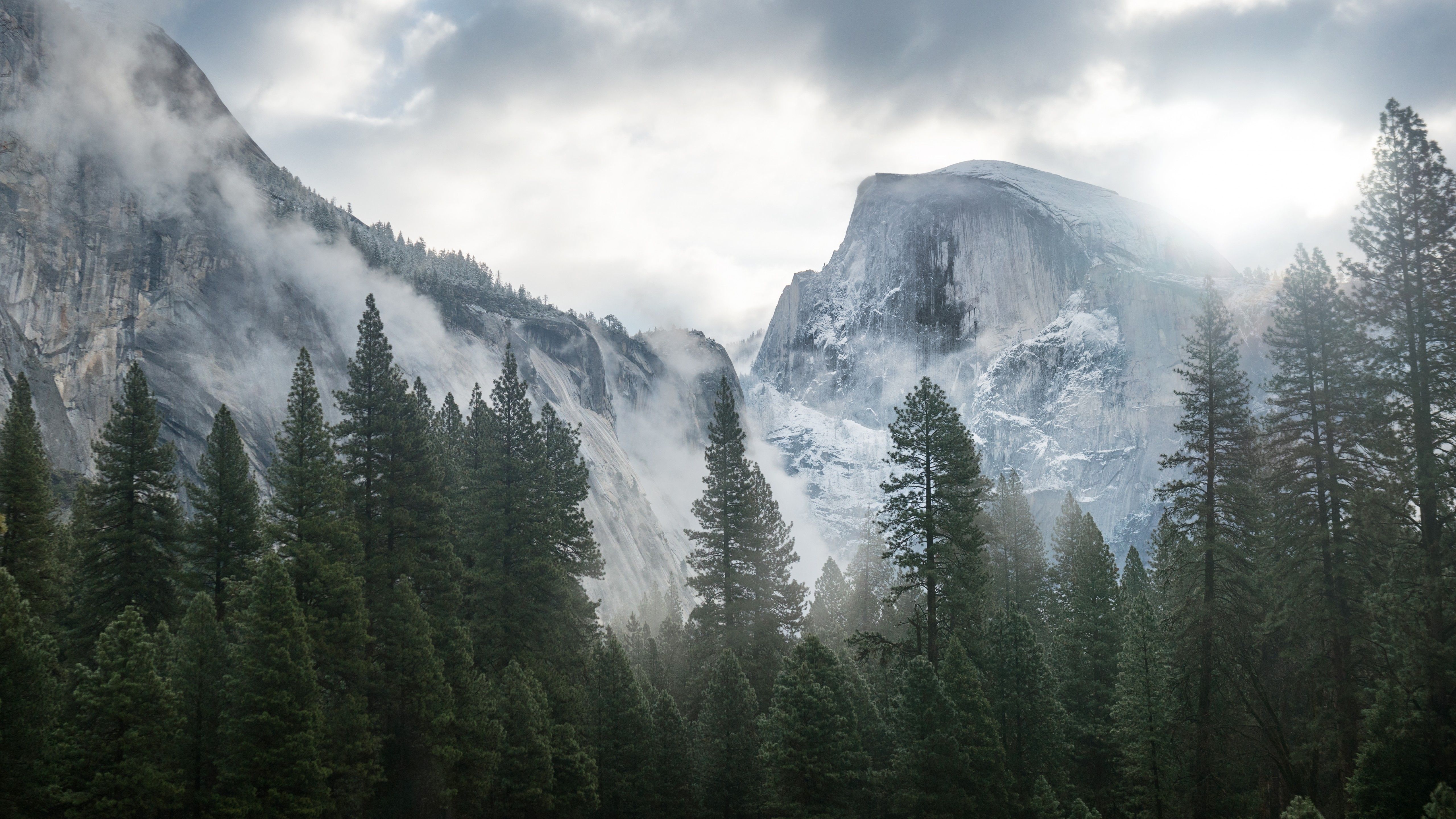 Fondo de pantalla Yosemite, 5k, fondo de pantalla 4k, 8k, bosque, OSX, manzana