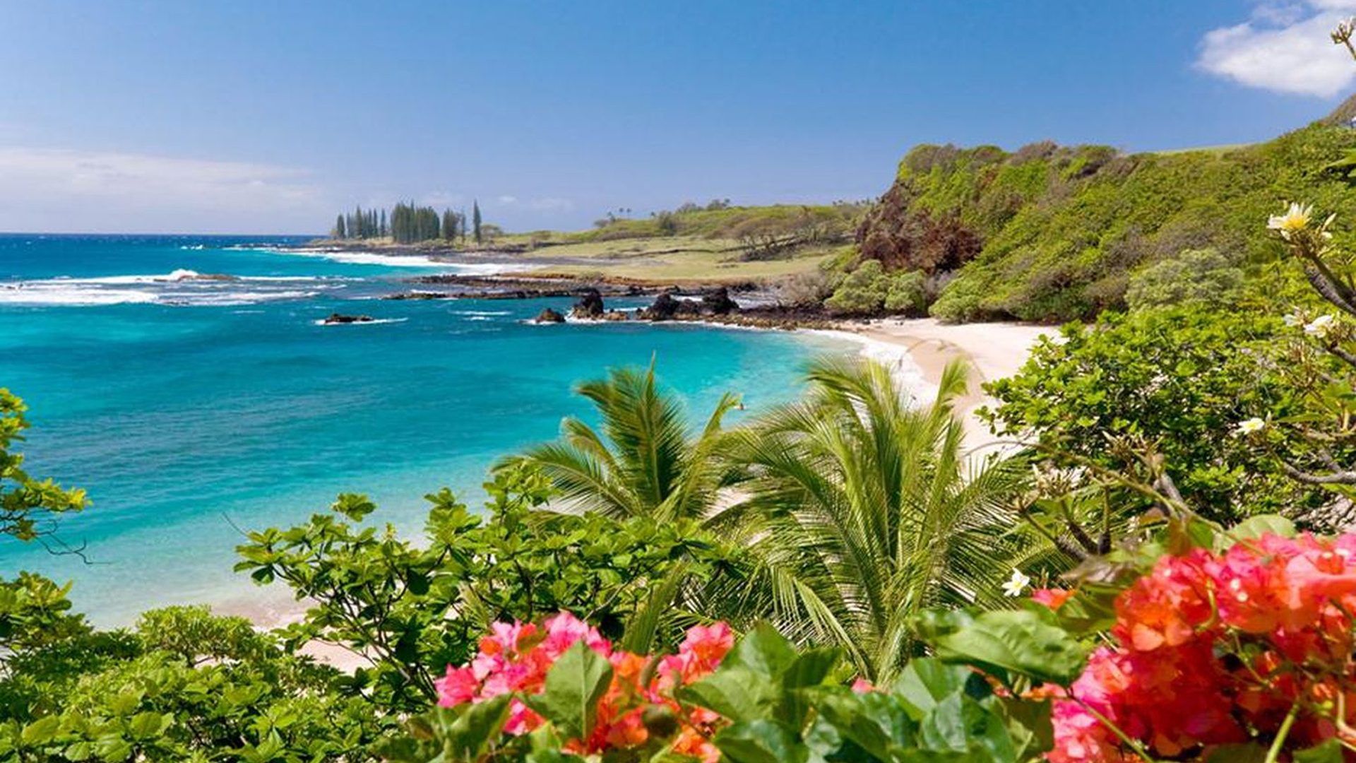Hawaii fondo de pantalla hd Galería