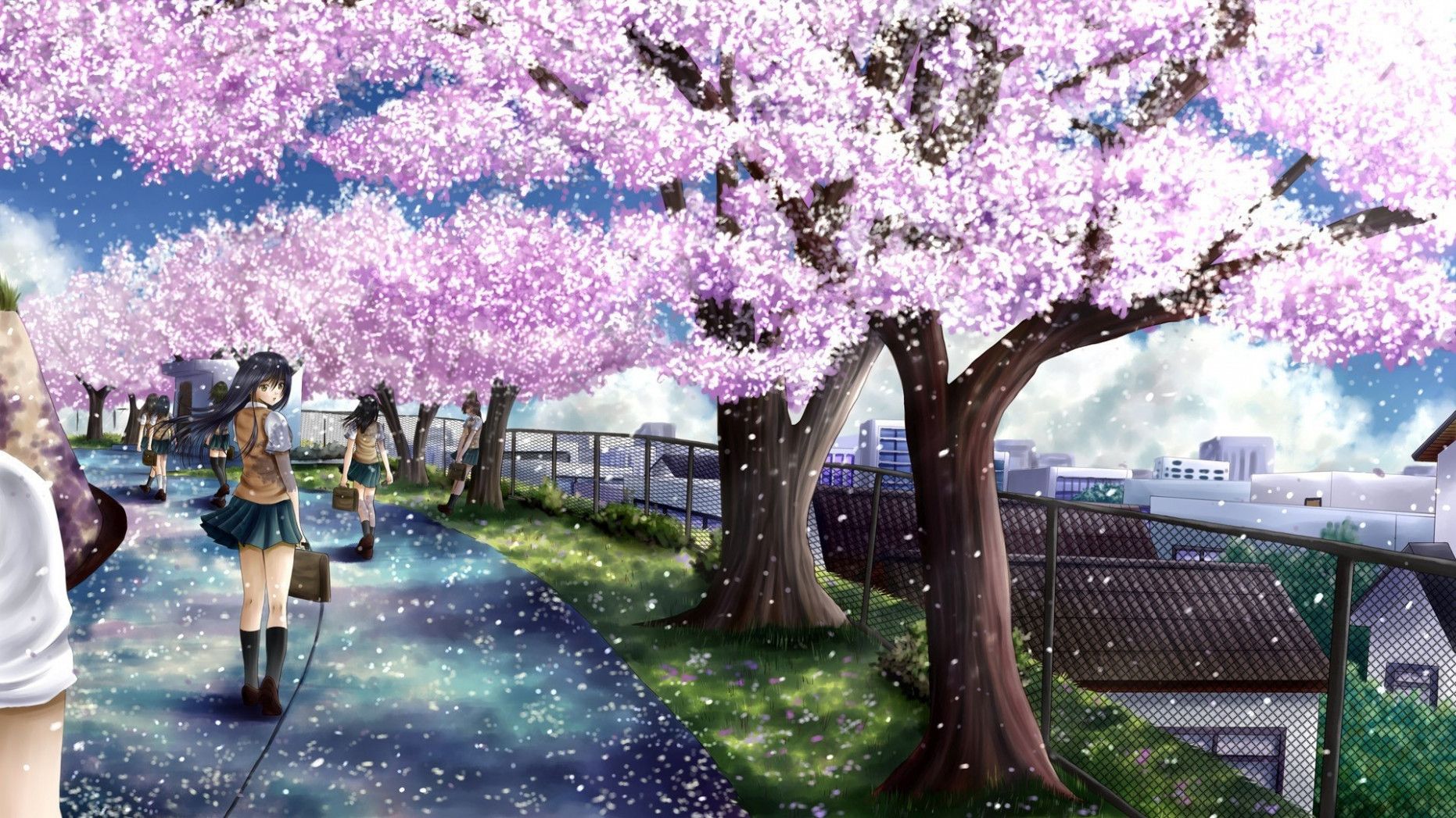 Cherry Blossom Drawing Wallpaper en PaintingValley.com | Explore
