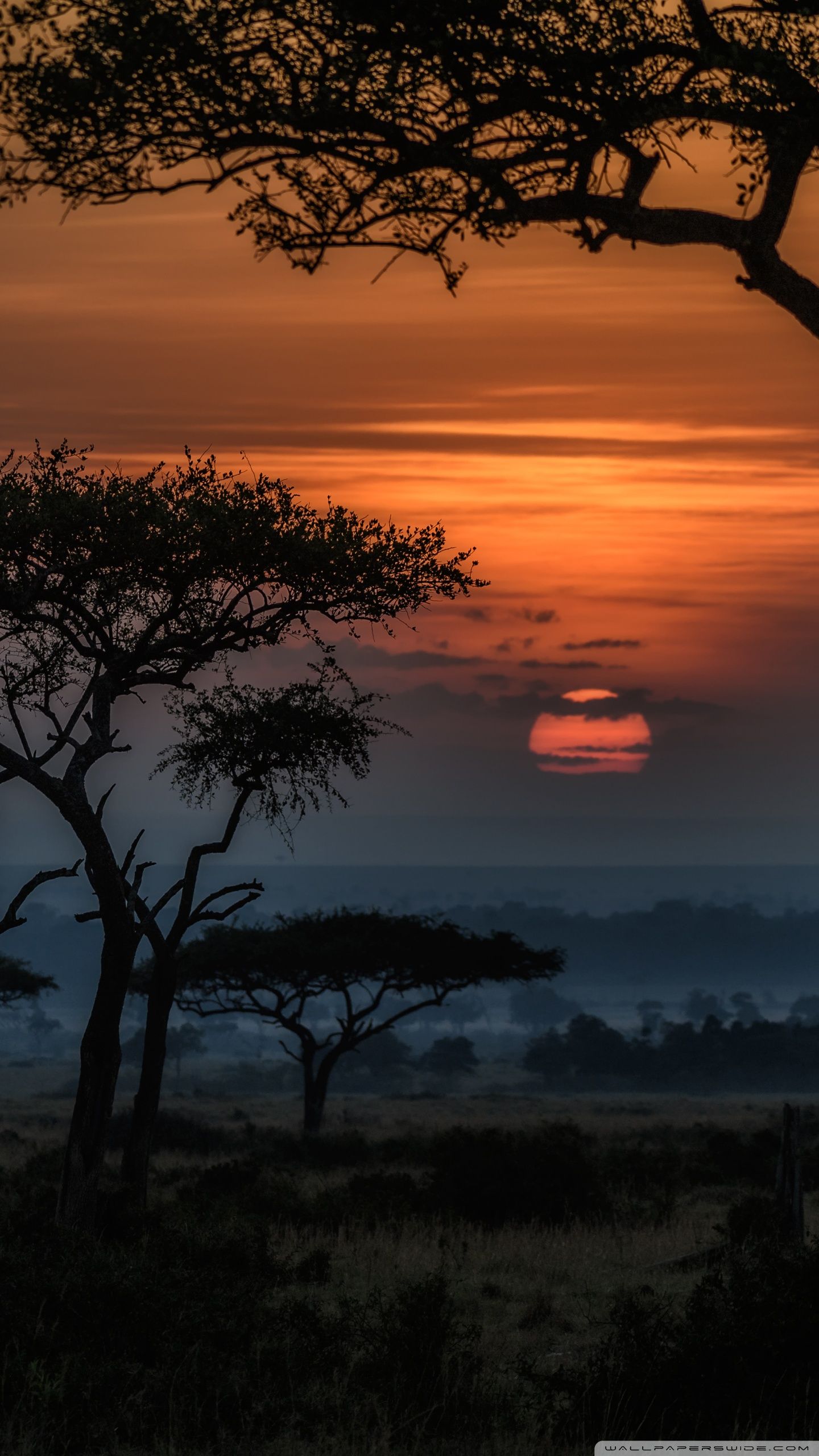 Amanecer en Masai Mara, Kenia, África ❤ 4K HD Desktop Wallpaper para