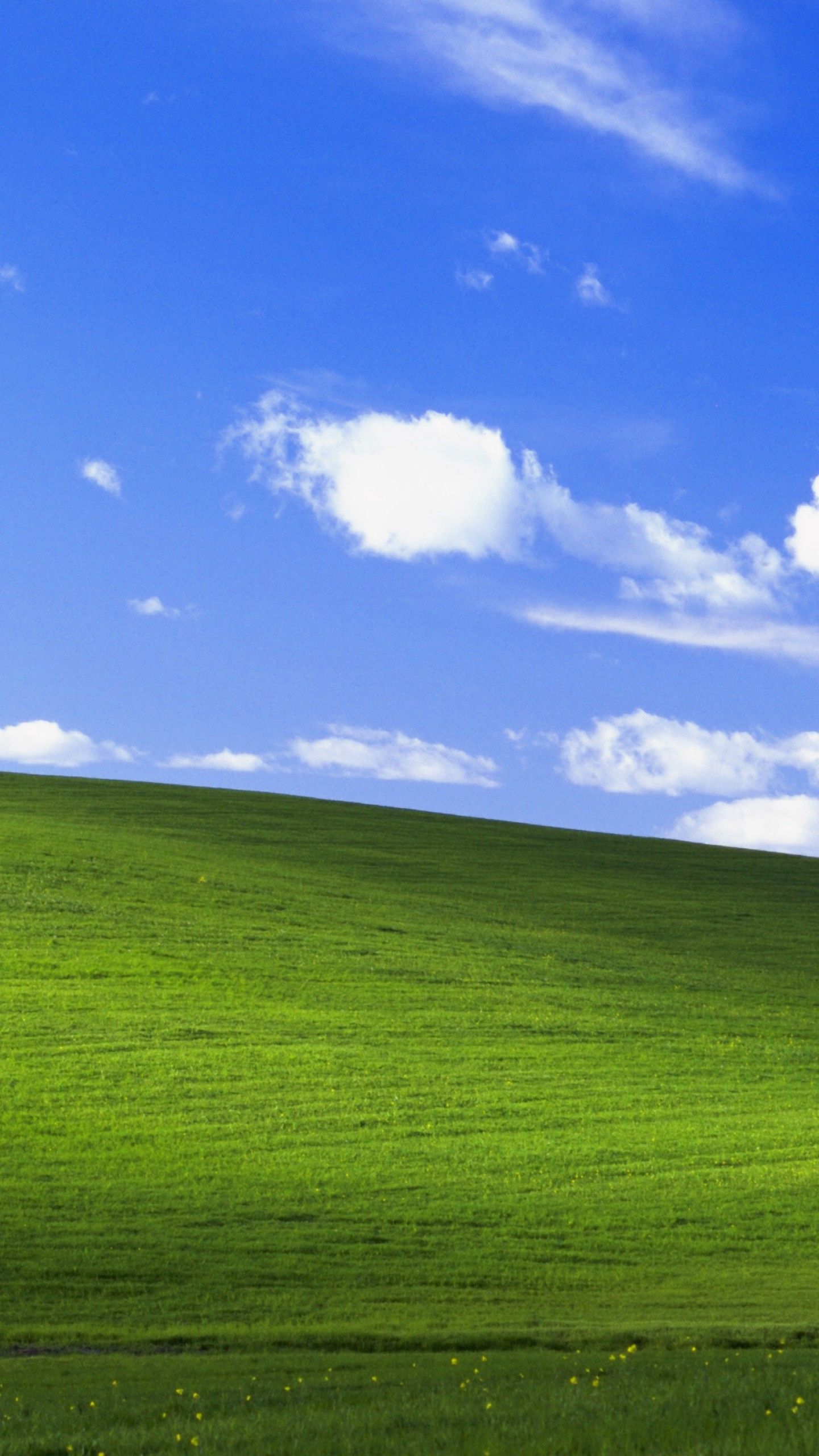 Wallpaper Bliss, Landscape, Windows XP, Stock, 4K, Nature, # 8116